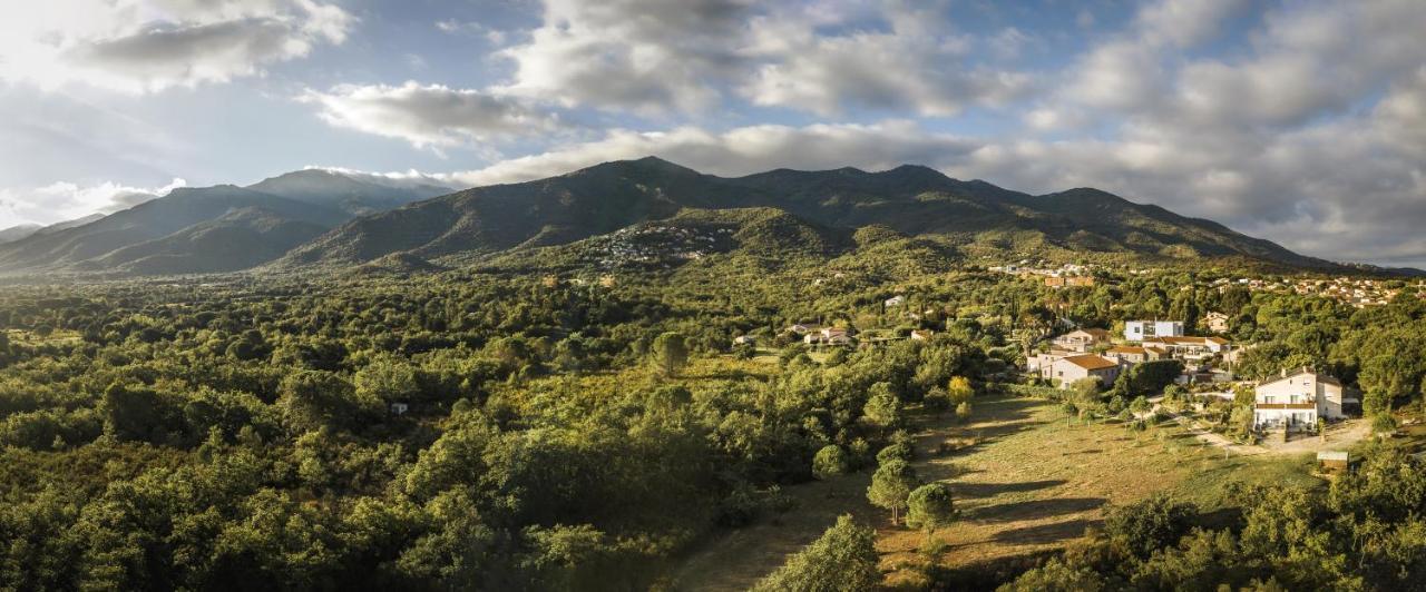 Domaine Pedra Llampada Gite Cerise Villelongue-dels-Monts Luaran gambar